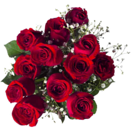 Photo of Flowers Six Red Rose Bouquet