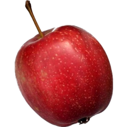 Photo of Apples Summer Red per kg