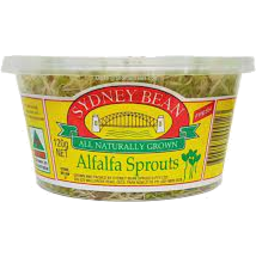 Photo of Sydney Bean Alfalfa Sprouts