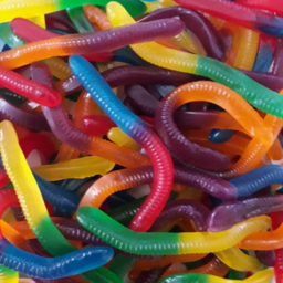 Photo of Rainbow Glowworms