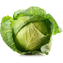 Photo of Cabbage Whole