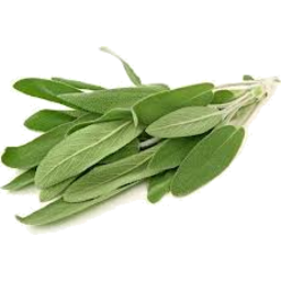 Photo of Herbs Sage Punnet 25g