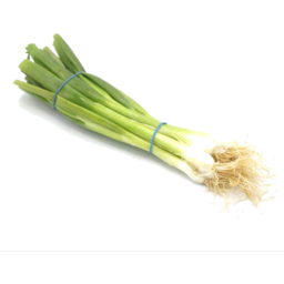 Photo of Onion - Shallot