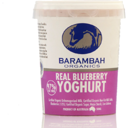 Photo of Barambah Yoghurt Blueberry 500g