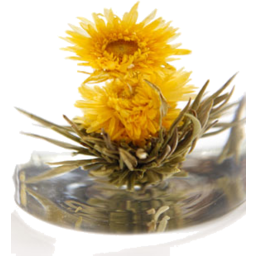 Photo of China Tea Flower - Golden Bloom 5g