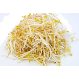 Photo of Box Bean Sprouts/Shoots