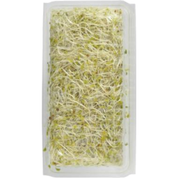 Photo of Alfalfa Sprouts