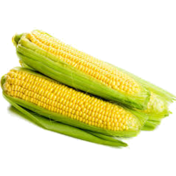 Photo of Corn Trayed