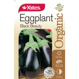 Photo of Yates Eggplant Black Beauty Packet
