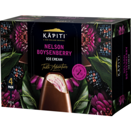 Photo of Kapiti Ice Cream Boysenberry 4 Pack