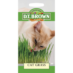 Photo of D.T.Brown Cat Grass Seeds