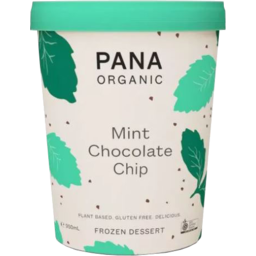 Photo of Pana Ice Cream Mint Chocolate Chip