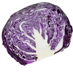 Photo of Cabbage - Red Half Half