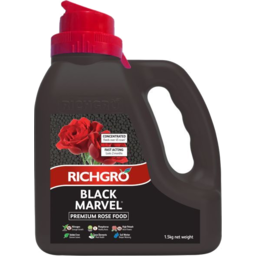 Photo of Black Marvel Rose 1.5kg