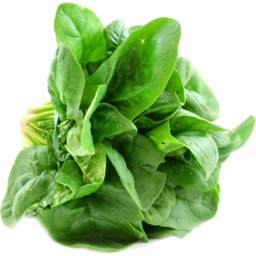 Photo of Spinach English Bunch Organic