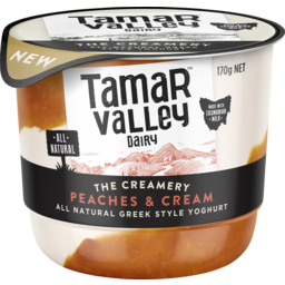 Photo of Tamar Valley Dairy Peaches & Cream Yoghurt 170gm
