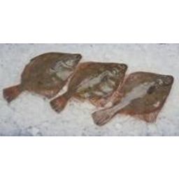 Photo of Whole Frozen Flounder Kg
