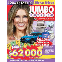 Photo of Mag New Idea Jumbo Puzzler Each
