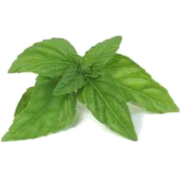 Photo of Fresh Herbs Basil Punnet