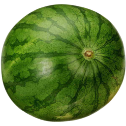 Photo of Organic Watermelon