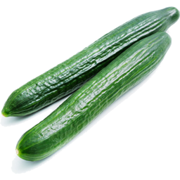Photo of Cucumber Continental Ea