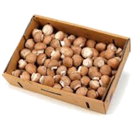Photo of Box Mushrooms Swiss
