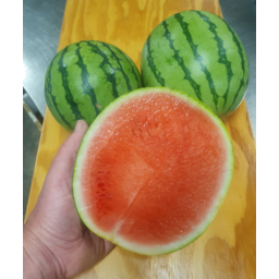 Photo of Watermelon Mini