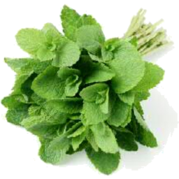 Photo of Herb Ws Mint Bunch