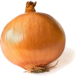 Photo of Brown Onion Kg