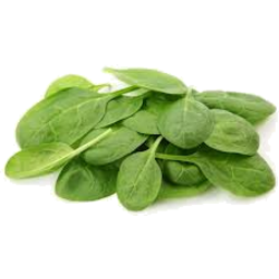 Photo of Baby Spinach Pkt