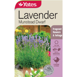 Photo of Yates Lavender Munstead Seed Packet