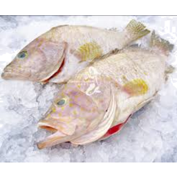 Photo of Local Spotted Cod Fillets Kg