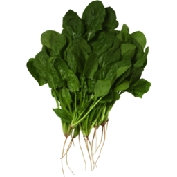 Photo of Spinach