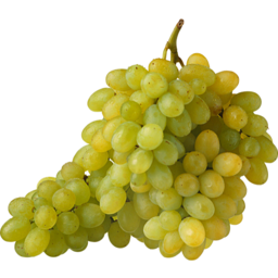 Photo of Sultana Seedless Grapes