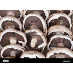 Photo of Box Mushrooms Flat Large