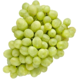 Photo of Green Seedless Grapes