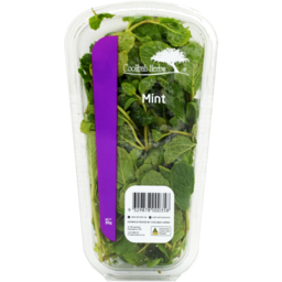 Photo of Coolibah Herbs Mint