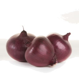 Photo of Onions Spanish