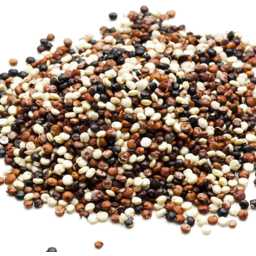 Photo of Tricolor Quinoa Organic