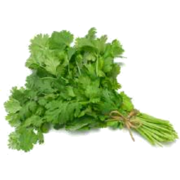 Photo of Coriander Bunched