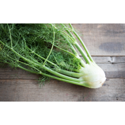 Photo of Fennel Large