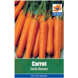 Photo of Carrot Early Nantes Seed Tape