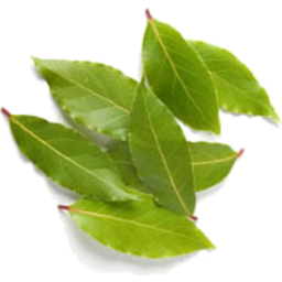 Photo of Bay Leaves Min