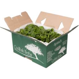Photo of Spinach Box