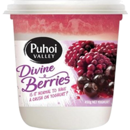Photo of Puhoi Valley Yoghurt Divine Berries 450g