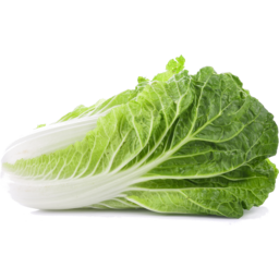 Photo of Cabbage Chinese 