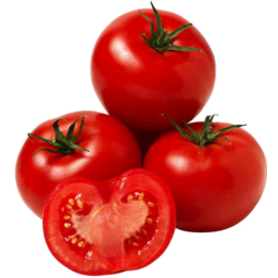 Photo of Hydroponic Tomatoes