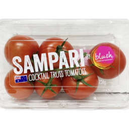 Photo of Tomato Sampari Vine m