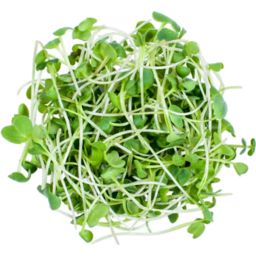 Photo of Goanna Green Sprouts 75g