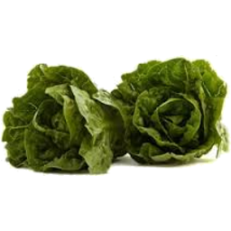 Photo of Lettuce Baby Cos 2 Pkt